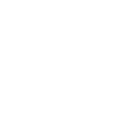 Instagram Profile